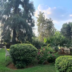 Well-Maintained Garden